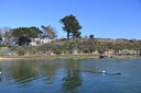 Filename=DSC_4671.JPG
Filesize=1113KiB
Dimensions=2048x1365
Date added=Dec 19, 2024 DSC_4671.JPG