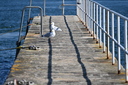 DSC_4672.JPG