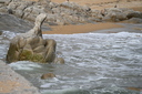 Filename=DSC_4684.JPG
Filesize=1227KiB
Dimensions=2048x1365
Date added=Dec 19, 2024 DSC_4684.JPG