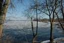 Filename=DSC_2995.JPG
Filesize=1271KiB
Dimensions=2048x1361
Date added=Dec 19, 2024 DSC_2995.JPG