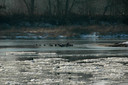 DSC_3058.JPG