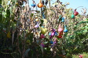 Filename=DSC_4584.JPG
Filesize=1545KiB
Dimensions=2048x1365
Date added=Dec 19, 2024 DSC_4584.JPG