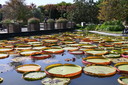 Filename=DSC_4587.JPG
Filesize=1365KiB
Dimensions=2048x1365
Date added=Dec 19, 2024 DSC_4587.JPG