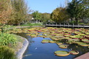 Filename=DSC_4598~0.JPG
Filesize=1370KiB
Dimensions=2048x1365
Date added=Dec 19, 2024 DSC_4598~0.JPG