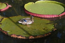 Filename=DSC_4599~0.JPG
Filesize=1202KiB
Dimensions=2048x1365
Date added=Dec 19, 2024 DSC_4599~0.JPG