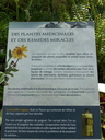 Filename=Terra_Botanica_281429.JPG
Filesize=1526KiB
Dimensions=1536x2048
Date added=Dec 19, 2024 Terra_Botanica_281429.JPG