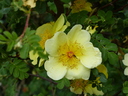 Filename=Terra_Botanica_281929.JPG
Filesize=1455KiB
Dimensions=2048x1536
Date added=Dec 19, 2024 Terra_Botanica_281929.JPG