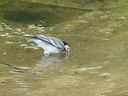 Filename=Terra_Botanica_286229.JPG
Filesize=1666KiB
Dimensions=2048x1536
Date added=Dec 19, 2024 Terra_Botanica_286229.JPG