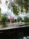 Filename=Terra_Botanica_28829.JPG
Filesize=1468KiB
Dimensions=1536x2048
Date added=Dec 19, 2024 Terra_Botanica_28829.JPG