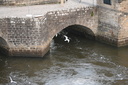 Filename=DSC_4639.JPG
Filesize=1158KiB
Dimensions=2048x1365
Date added=Dec 19, 2024 DSC_4639.JPG