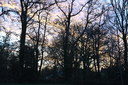 Filename=DSC_4646.JPG
Filesize=1269KiB
Dimensions=2048x1365
Date added=Dec 19, 2024 DSC_4646.JPG