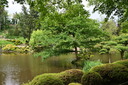 Filename=DSC_4898.JPG
Filesize=1510KiB
Dimensions=2048x1365
Date added=Dec 19, 2024 DSC_4898.JPG