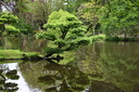 Filename=DSC_4903~0.JPG
Filesize=1491KiB
Dimensions=2048x1365
Date added=Dec 19, 2024 DSC_4903~0.JPG