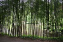 Filename=DSC_4905~1.JPG
Filesize=1295KiB
Dimensions=2048x1365
Date added=Dec 19, 2024 DSC_4905~1.JPG