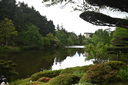 Filename=DSC_4908~0.JPG
Filesize=1173KiB
Dimensions=2048x1365
Date added=Dec 19, 2024 DSC_4908~0.JPG