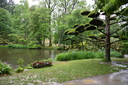 Filename=DSC_4920.JPG
Filesize=1282KiB
Dimensions=2048x1365
Date added=Dec 19, 2024 DSC_4920.JPG