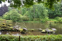 Filename=DSC_4923.JPG
Filesize=1279KiB
Dimensions=2048x1365
Date added=Dec 19, 2024 DSC_4923.JPG