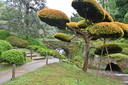 Filename=DSC_4934.JPG
Filesize=1389KiB
Dimensions=2048x1365
Date added=Dec 19, 2024 DSC_4934.JPG