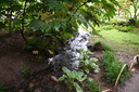 Filename=DSC_4937.JPG
Filesize=1253KiB
Dimensions=2048x1365
Date added=Dec 19, 2024 DSC_4937.JPG